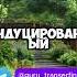 Петля проблем Трансерфинг Вадим Зеланд трансерфинг вадимзеланд психология душа развитие