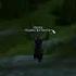 WOW Classic Lvl 1 60 Mage Rogue DUO Leveling And Questing