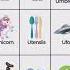 U Words For Kids Letter Uu Words Things That Start With Uu U Words Learn Phonics