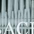 J S Bach Prelude Fugue In D Minor BWV 539 I Prelude