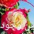 صباح الخير يا أغلى وأعز الناس