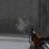 CoD2 B2F Weapon Sounds By Fainyance11 Russian