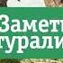 ЗАМЕТКИ НАТУРАЛИСТА 24 10 2022