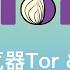 洋葱浏览器Tor 自由之门还是罪恶陷阱 洋葱浏览器Tor指南 暗网入门 Tor路由保护隐私原理 Onion洋葱网路 Tor浏览器下载安装网络配置及使用指南 暗网介绍及访问暗网导航