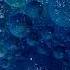 Xandl DJ Hepri Transform Original Mix Siona Records