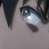Аниме Ненасытный Берсерк 1 серия Shorts аниме Anime Animemoments