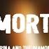 Marina And The Diamonds Immortal MewOne Syberian Beast Remix Audio