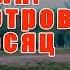 Грибы тает лёд