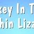 Whiskey In The Jar Thin Lizzy Karaoke Version