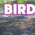 BIRD BOX 02 JOSH MALERMAN HORROR SURVIVAL AUDIOBOOK FULL
