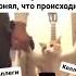 Когда вышел из отпуска