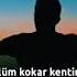 Devrim Çelik Zulüm Kokar Türkçe Şarkı Sözleri Altyazılı