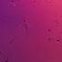 Phello Out Of Reach Royalty Free Music