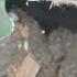 HVAC ORIGINAL CONSTRUCTION DEBRIS WOOD DUST DIRTY CRAZY IMPROVEMENT Imagine Breathing That