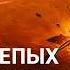 Переломный момент Фильм NASA Часть 2