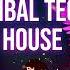 Tribal Tech House Mix 2024 DJ ADRI M Latintechhouse Techhouse