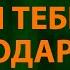 Стас Пьеха Я тебе подарю Текст Lyrics
