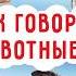 Как говорят животные Видео для самых маленьких