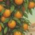 Meu Pé De Laranja Lima My Sweet Orange Tree By José Mauro De Vasconcelos