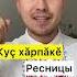 Части лица на чувашском языке чуваш чуваши чувашия чувашскийязык чувашский булгары булгар