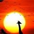 Safari Pt 1 By Super Wanyika