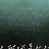 Surah Waqiah Hussamuddin Abbadi Most Beautiful Quran Recitation HD