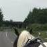 Carriage Driving Horse Gets Honked At By Car Driver Barry Hook