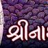 Mara Shreeji Bawa Ne Ghani Khamma SHREENATHJI SATSANG
