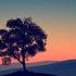 Andrew Rayel Let It Be Forever Andrew Rayel DRYM Remix