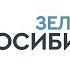 Зелёный Новосибирск ноябрь 2023 года