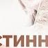 Истинная сила женщины Сила женщины в её слабости