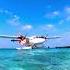 Beautiful MaldivesBeach MaldivesDiaries MaldivesTrip MaldivesVacation Viralshorts Trending