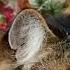 Танюха мне скучно юмор прикол кот Cat котик