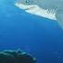 When Sharks Swam The Great Plains