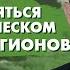 Андрей Нагибин Как подняться в экологическом рейтинге регионов
