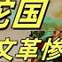 文化大革命109 广西吃人事件 广西大屠杀最突破底线的地方就是群体性吃人 造反派对人类内脏的痴迷 当年的广西与西游记里的狮驼国的比较 文化大革命 文革 中共 中共政權 西游记