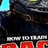 HOW TO TRAIN YOUR DRAGON 2 2014 Movie Reaction Jay Baruchel Cate Blanchett Gerard Butler