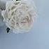 Flower Hairpin Wedding White Rose Hair Clip Весільна шпилька біла троянда
