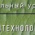 Биология 10 кл Проф уровень 74 Хромосомная и генная инженерия