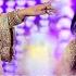 Pashto New Song 2025 Manam Ta Wor Ye Za Oba Yam Haya Noor Pashto New Tappy 2025