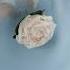 Flower Hairpin Wedding White Rose Hair Clip Весільна шпилька біла троянда