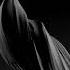 Tali Muss Aaron Suiss Spiral Original Mix Outta Limits