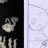 Timmy Tipton Thumbnail Comparison Thom Lu
