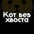 Футаж Кот без хвоста