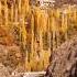 ТИРАМОҲИ ЗАРРИНИ КӮҲИСТОНИ ТОҶИКИСТОН Tajikistan