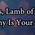 You Are My Strength When I Am Weak