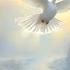 Hope Is The Thing With Feathers A Visual Journey