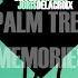Palm Tree Memories