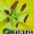 Песня Орлята учатся летать Гуляев Ю Караоке для детей
