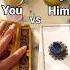 Your Current Relationship See Comment Tarot Tarotreader
